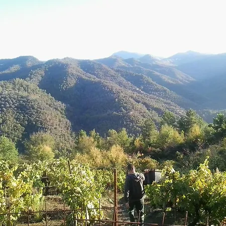 Holiday home Casa Castello *